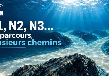 plusieurs parcours ffessm
