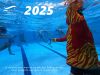 Voeux hockeysub 2025